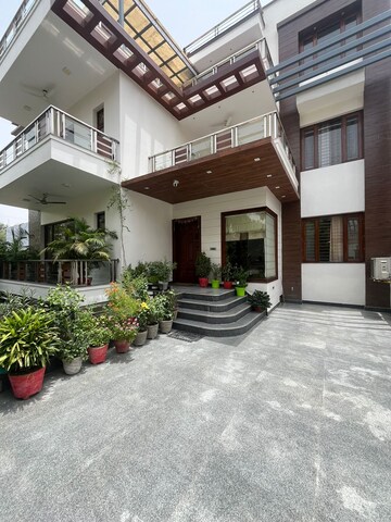 6+ BHK Independent House For Sale in Sector 9a