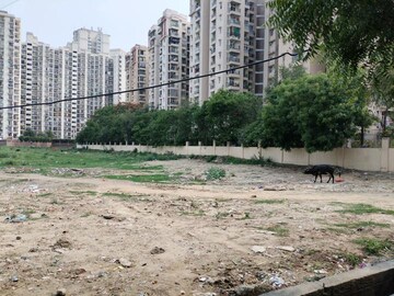  Plot For Sale in Jaypee Sports City, Jaypee Greens Sports City