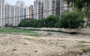Plot For Sale in Jaypee Sports City, Jaypee Greens Sports City