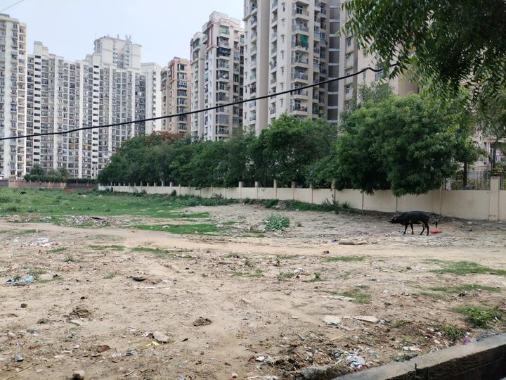 Plot For Sale in Jaypee Sports City