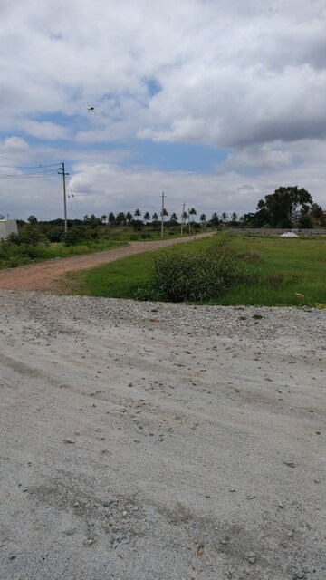  Land For Sale in Blue Bells Hoskote, Hoskote