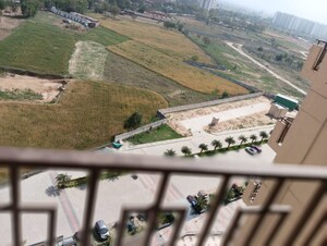 2 BHK Apartment For Sale in Signature Global Orchard Avenue, Sector 93