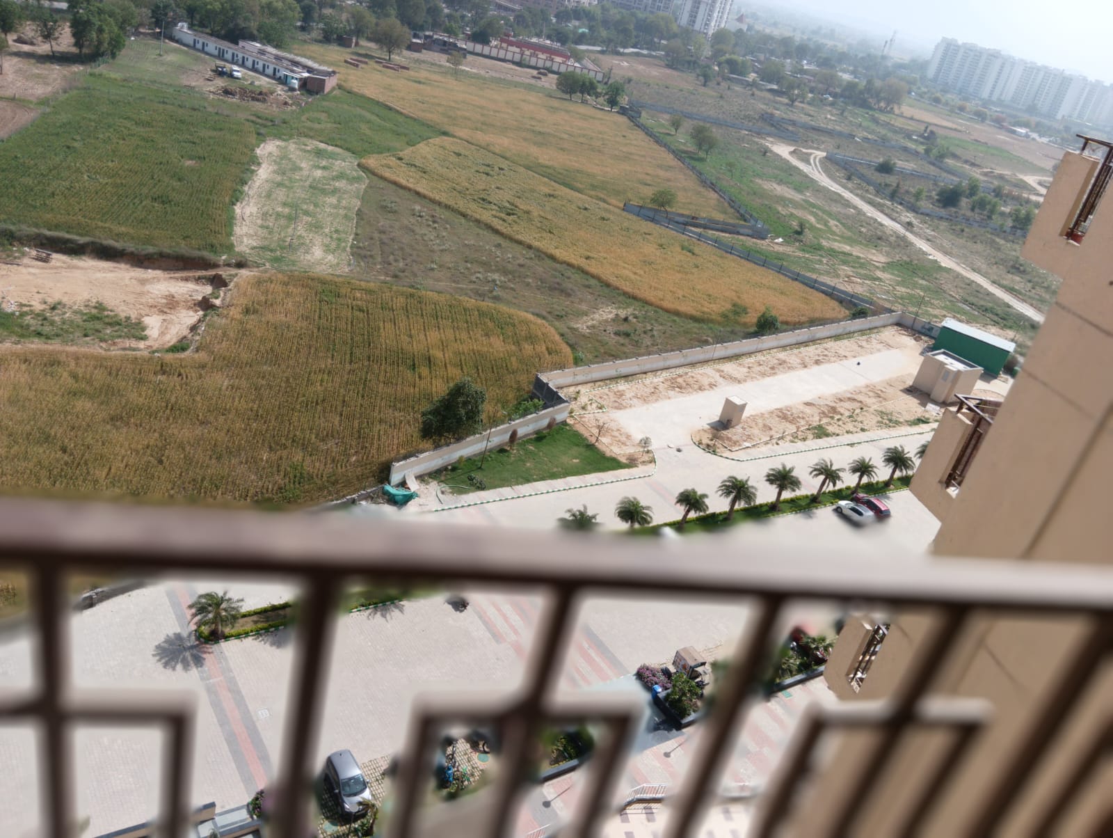 2 BHK Apartment For Sale in Signature Global Orchard Avenue