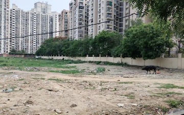 Plot For Sale in Parnal Nest, Sector 18 Yamuna Expressway