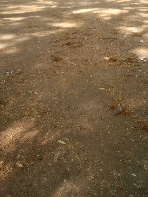  Plot For Sale in Dharampeth