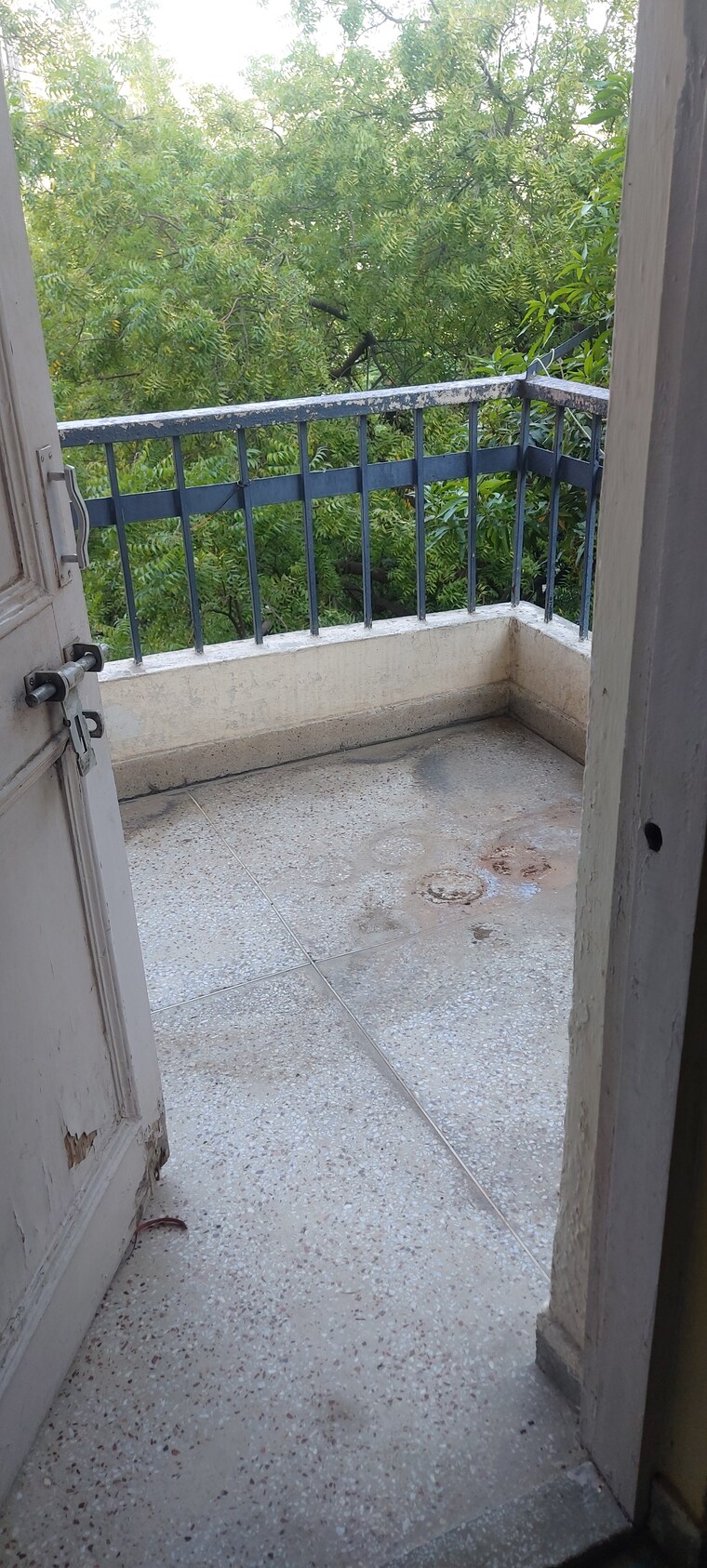 Balcony, ip extension 2 Bedroom 1100 Sq.Ft. Apartment In Ip Extension Delhi 8831779