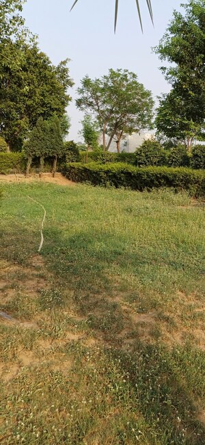 Plot Area in  Plot at Jewar – for Sale