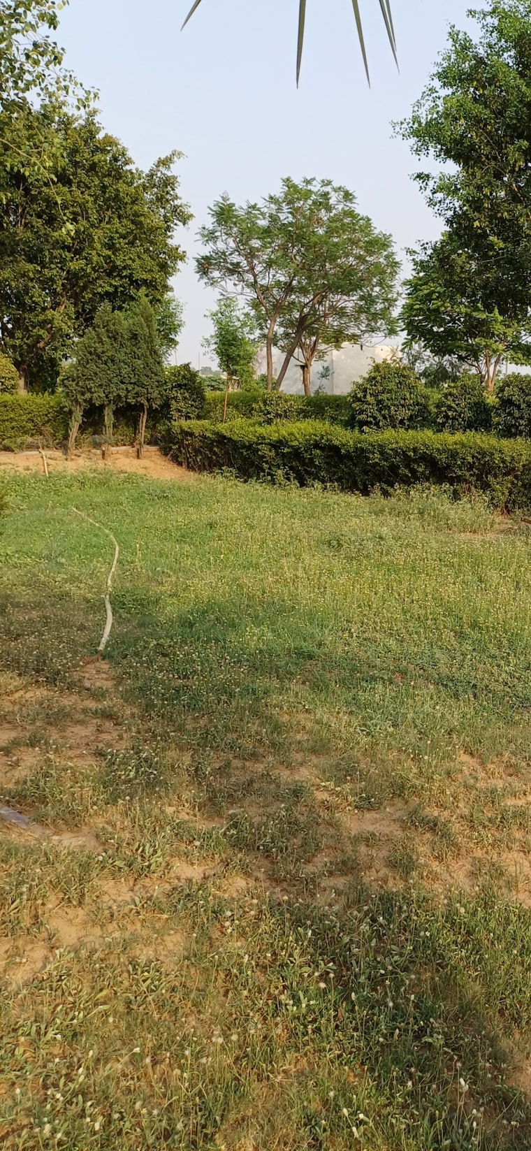 undefined, jewar  207 Sq.Yd. Plot In Jewar Greater Noida 8832235