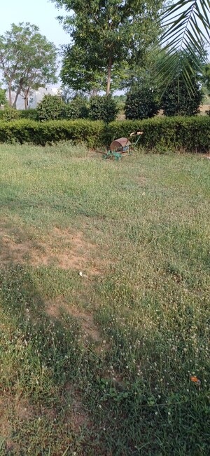 Plot Area in  Plot at Jewar – for Sale