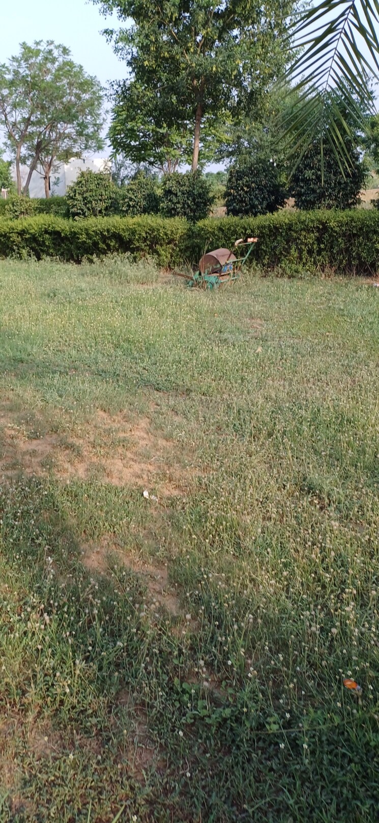 undefined, jewar  207 Sq.Yd. Plot In Jewar Greater Noida 8832235