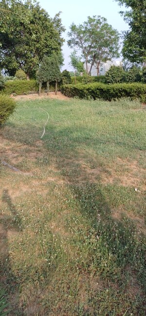 Plot Area in  Plot at Jewar – for Sale