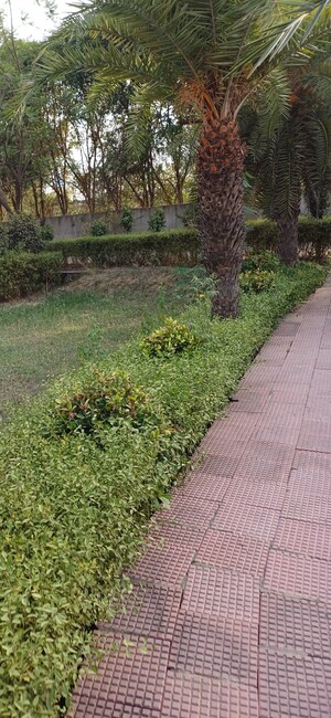  Plot – Garden View at Jewar - for Sale