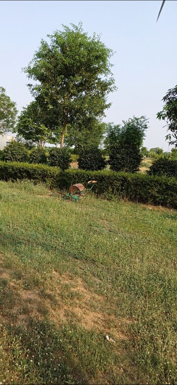 Plot – Garden View at Jewar - for Sale