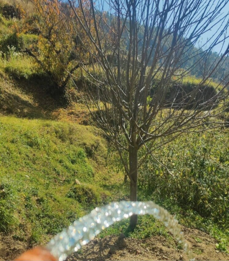 Garden, kandaghat 4 Bedroom 2200 Sq.Ft. Villa In Kandaghat Solan 8832361