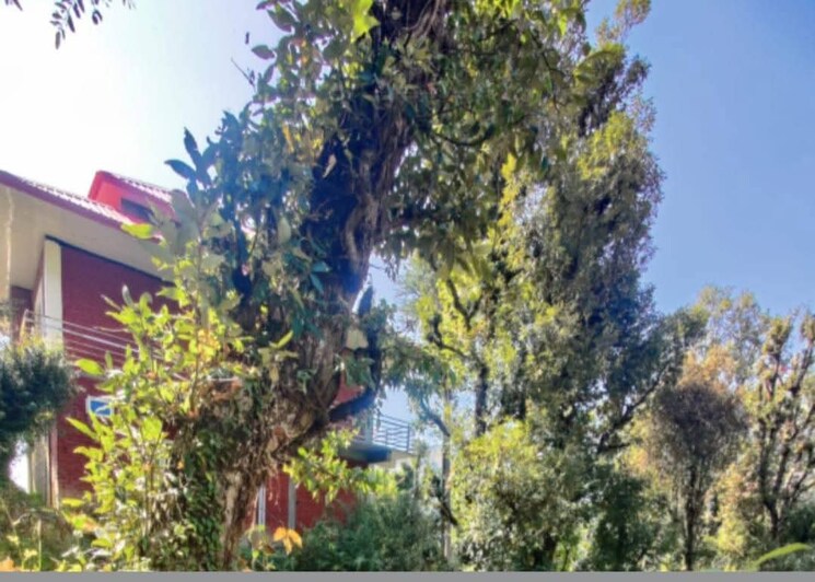 Garden, kandaghat 4 Bedroom 2200 Sq.Ft. Villa In Kandaghat Solan 8832361