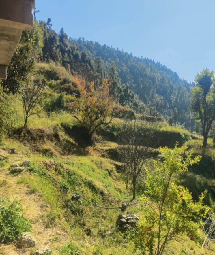 Garden, kandaghat 4 Bedroom 2200 Sq.Ft. Villa In Kandaghat Solan 8832361