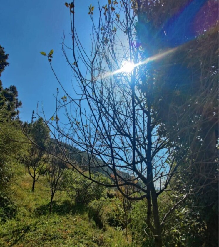 Master Bedroom, kandaghat 4 Bedroom 2200 Sq.Ft. Villa In Kandaghat Solan 8832361