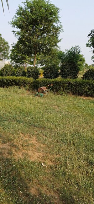 Plot Area in  Plot at Jewar – for Sale