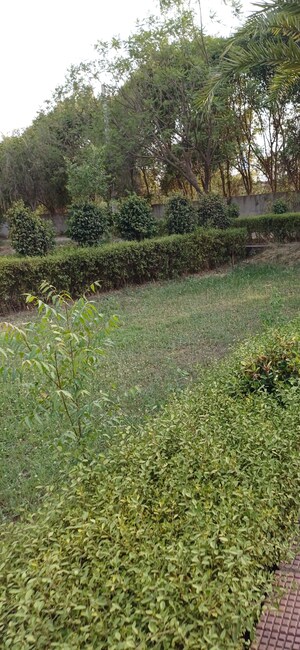 Plot Area in  Plot at Jewar – for Sale