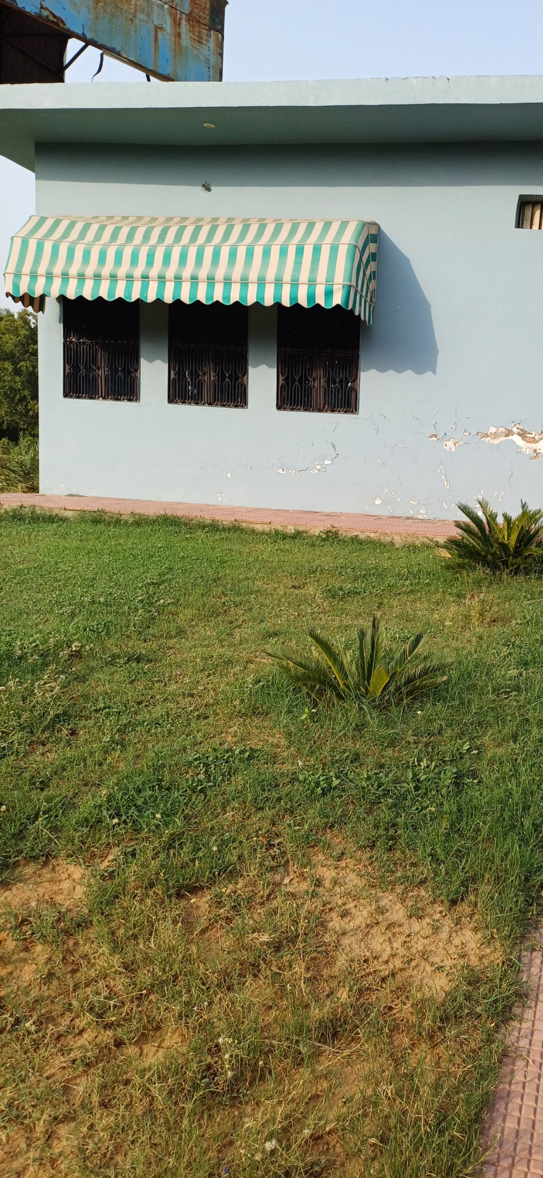 Plot For Sale in Harit City 