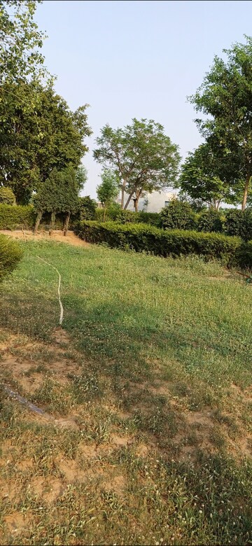 Plot Area in  Plot at Jewar – for Sale