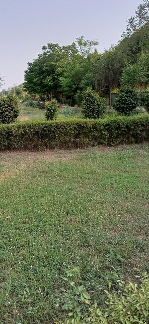 Plot Area in  Plot at Jewar – for Sale