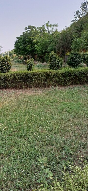 Plot Area in  Plot at Jewar – for Sale