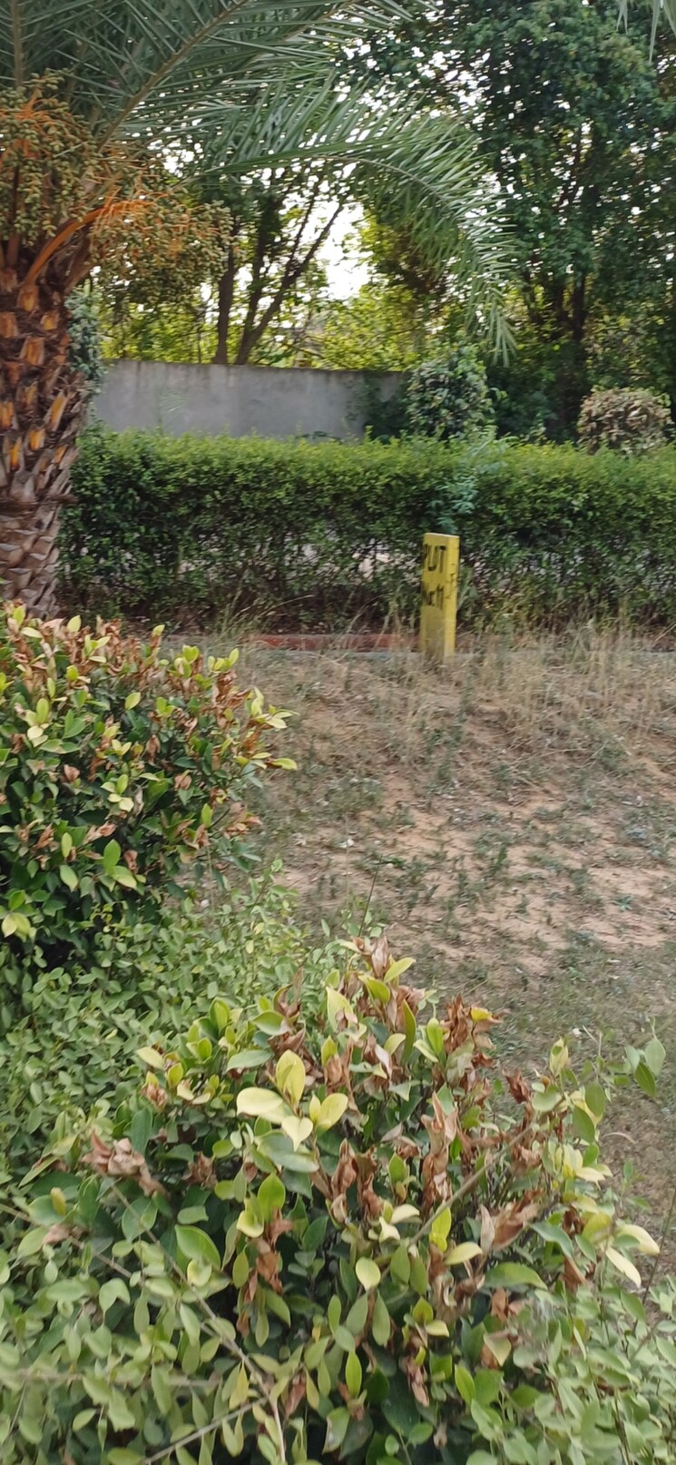 undefined, jewar  210 Sq.Yd. Plot In Jewar Greater Noida 8832601