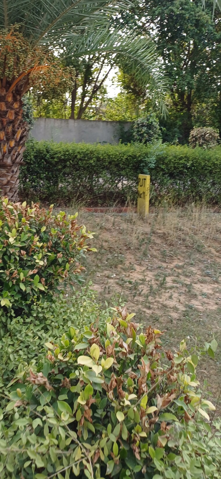 undefined, jewar  210 Sq.Yd. Plot In Jewar Greater Noida 8832601