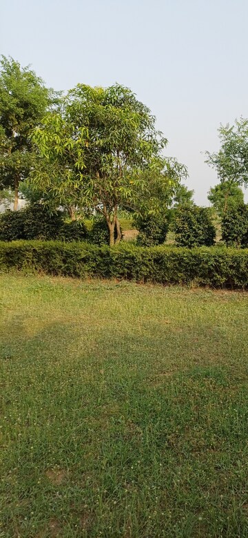 Plot Area in  Plot at Jewar – for Sale