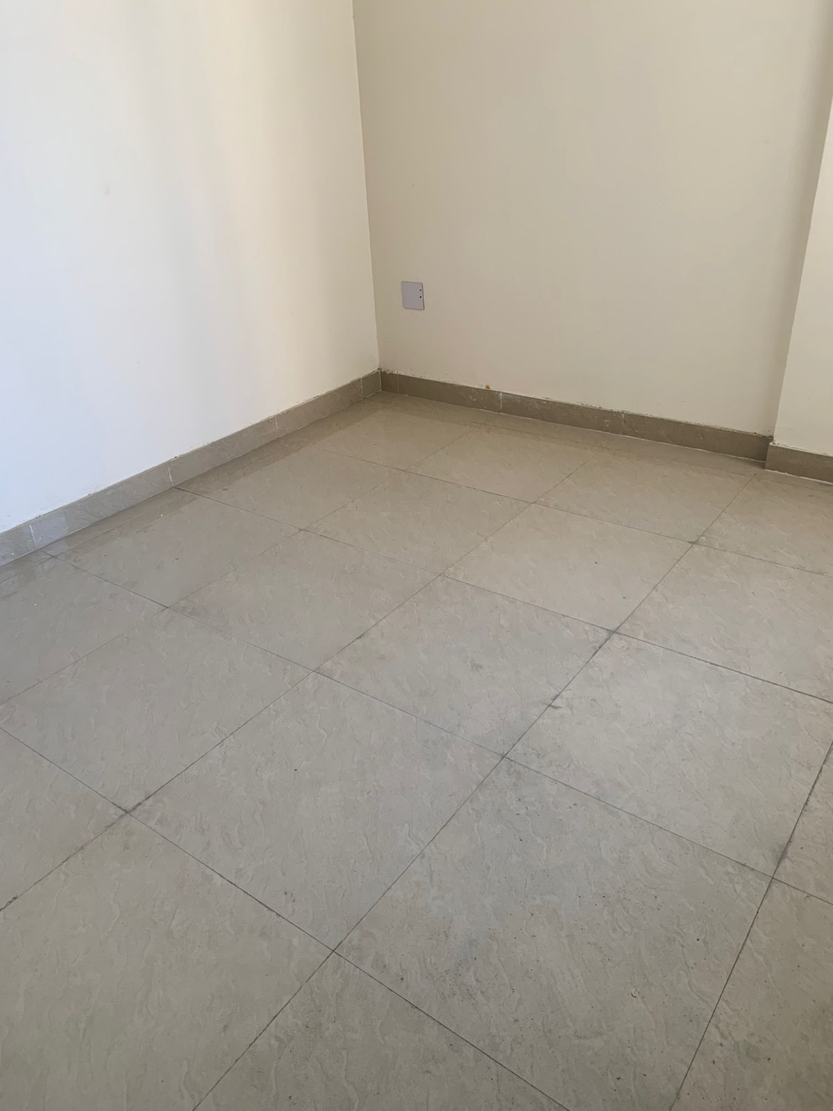 3 BHK + Servant Room,Extra Room Apartment For Rent in Terra Lavinium