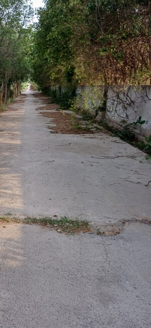 Plot Area in  Plot at Jewar – for Sale