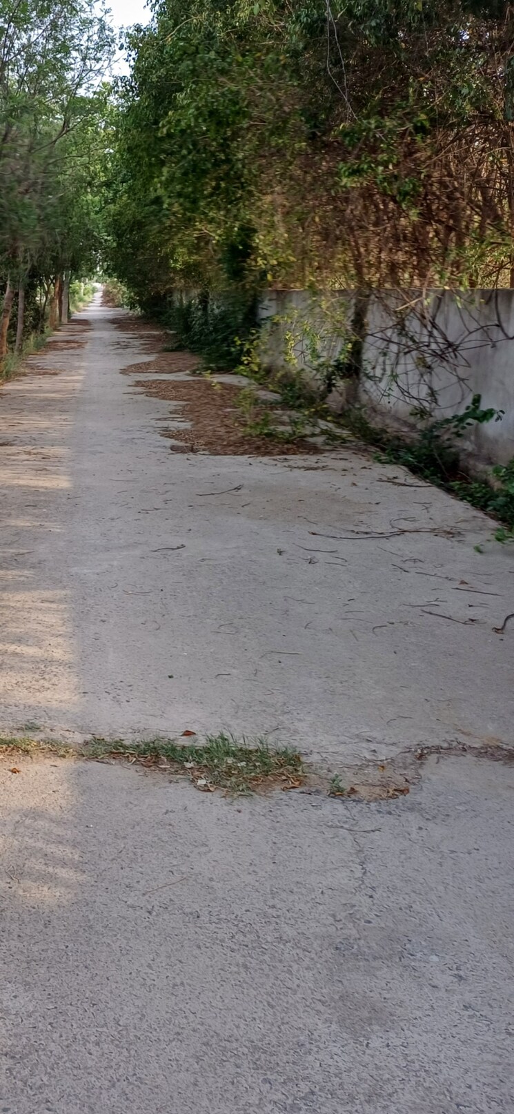 undefined, jewar  211 Sq.Yd. Plot In Jewar Greater Noida 8832649