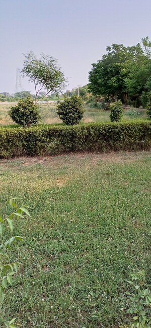 Plot Area in  Plot at Jewar – for Sale
