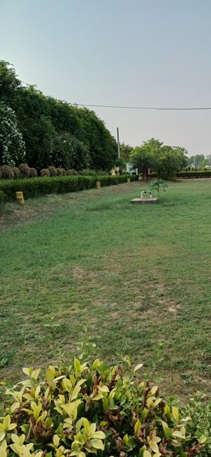 Plot Area in  Plot at Jewar – for Sale