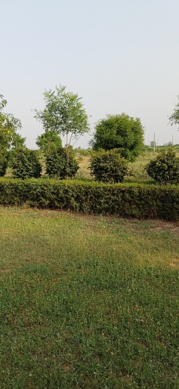  Plot For Sale in Jewar