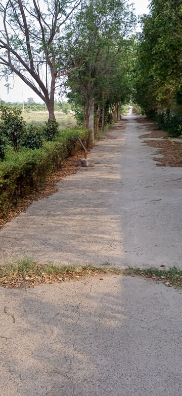 Plot Area in  Plot at Jewar – for Sale