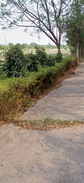 Plot Area in  Plot at Jewar – for Sale