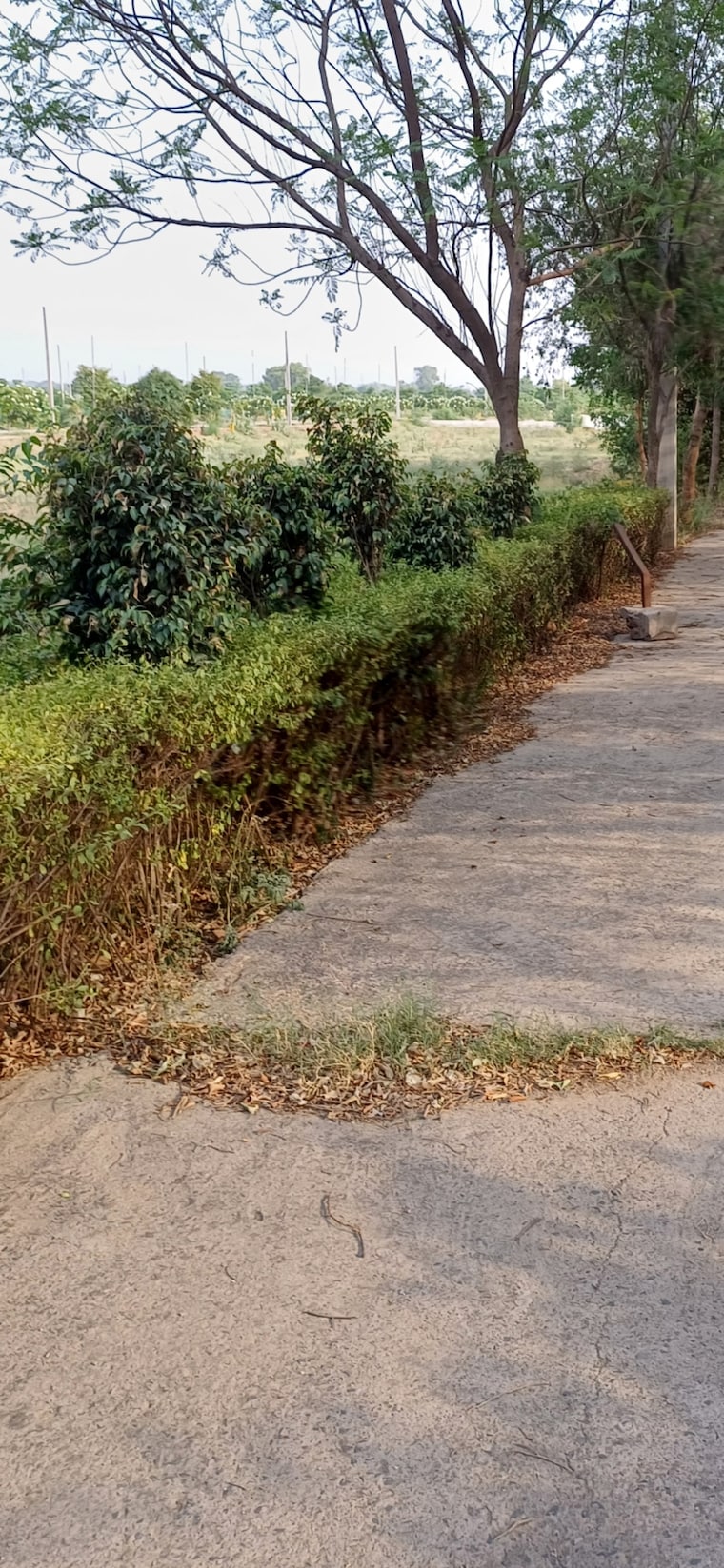 undefined, jewar  213 Sq.Yd. Plot In Jewar Greater Noida 8832940