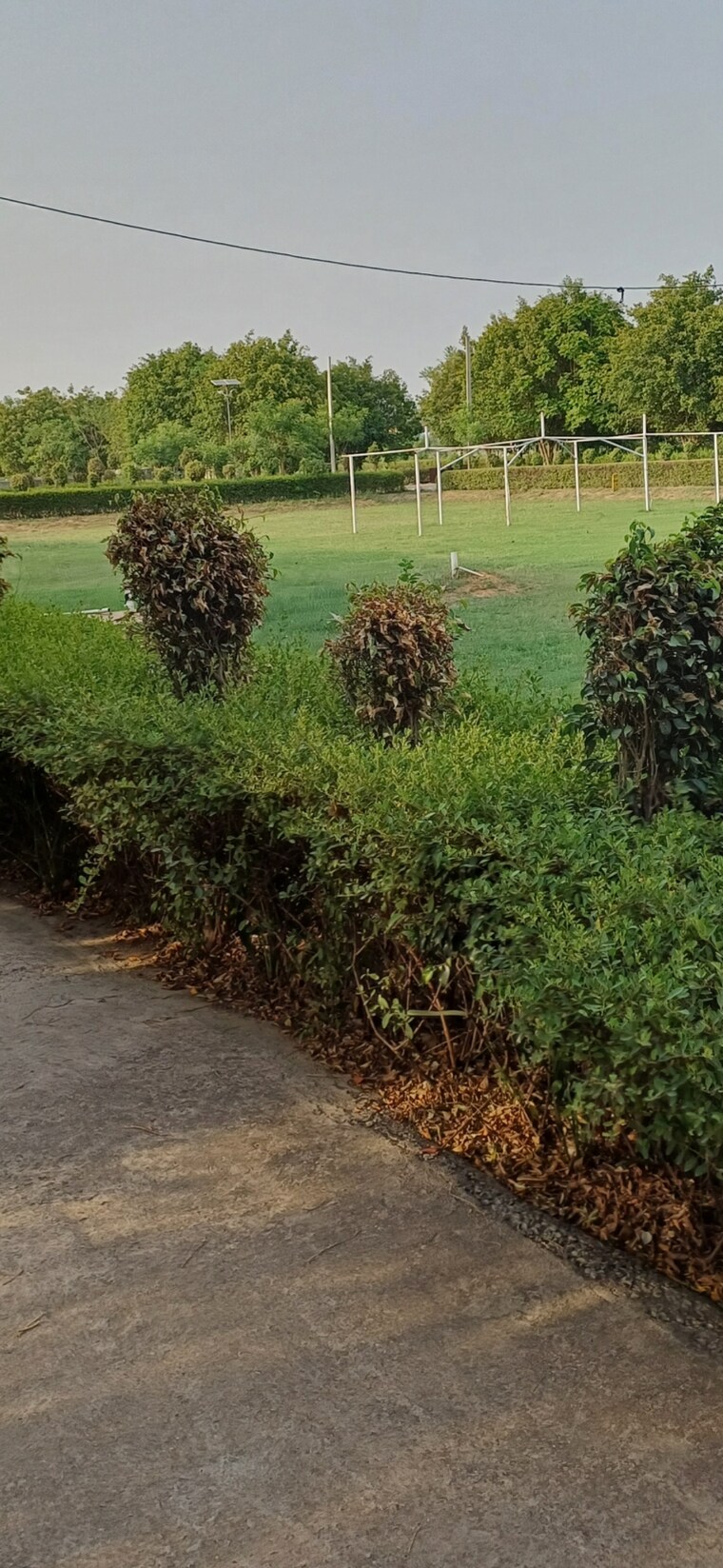 Garden, jewar  213 Sq.Yd. Plot In Jewar Greater Noida 8832940