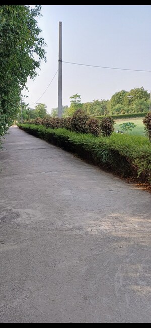  Plot For Sale in Jewar