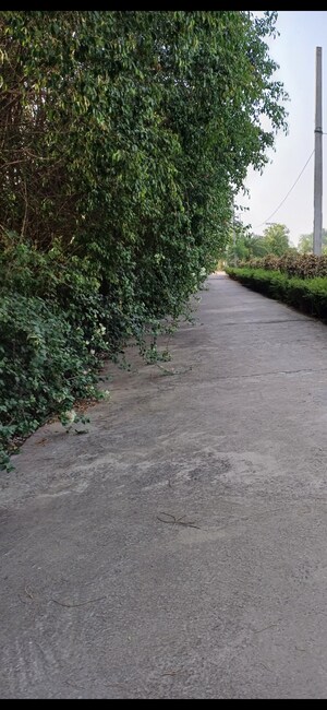 Plot Area in  Plot at Jewar – for Sale