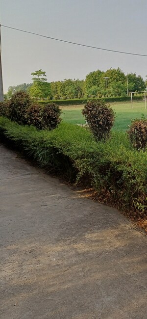  Plot For Sale in Jewar