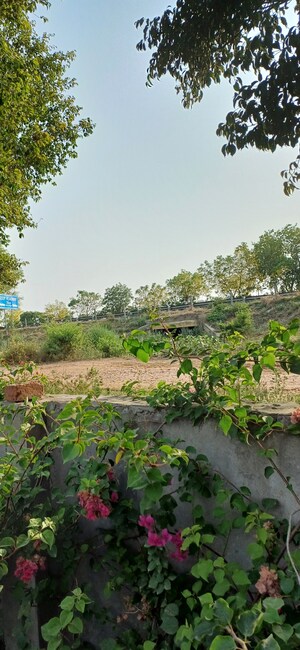 Plot Area in  Plot at Jewar – for Sale