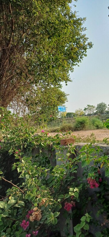 Plot Area in  Plot at Jewar – for Sale