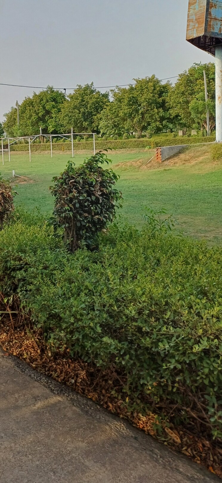 Garden, jewar  215 Sq.Yd. Plot In Jewar Greater Noida 8832986