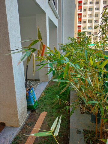 Balcony in 3 BHK Apartment at Godrej Elements, Hinjewadi – for Rent