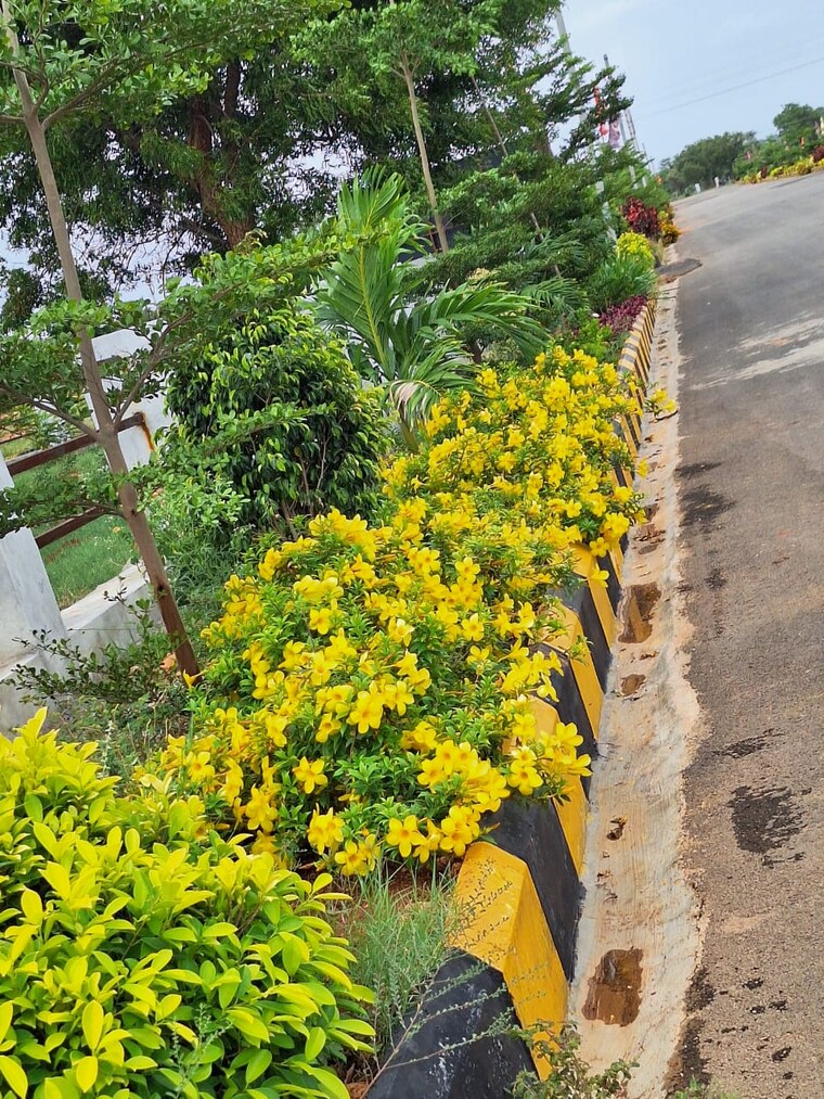 Garden, amangal  150 Sq.Yd. Plot In Amangal Hyderabad 8833023