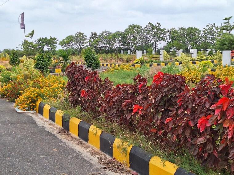 Garden, amangal  150 Sq.Yd. Plot In Amangal Hyderabad 8833023