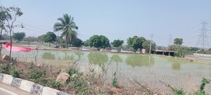 Plot Area in  Plot at SR Rock Town, Mazidpur – for Sale